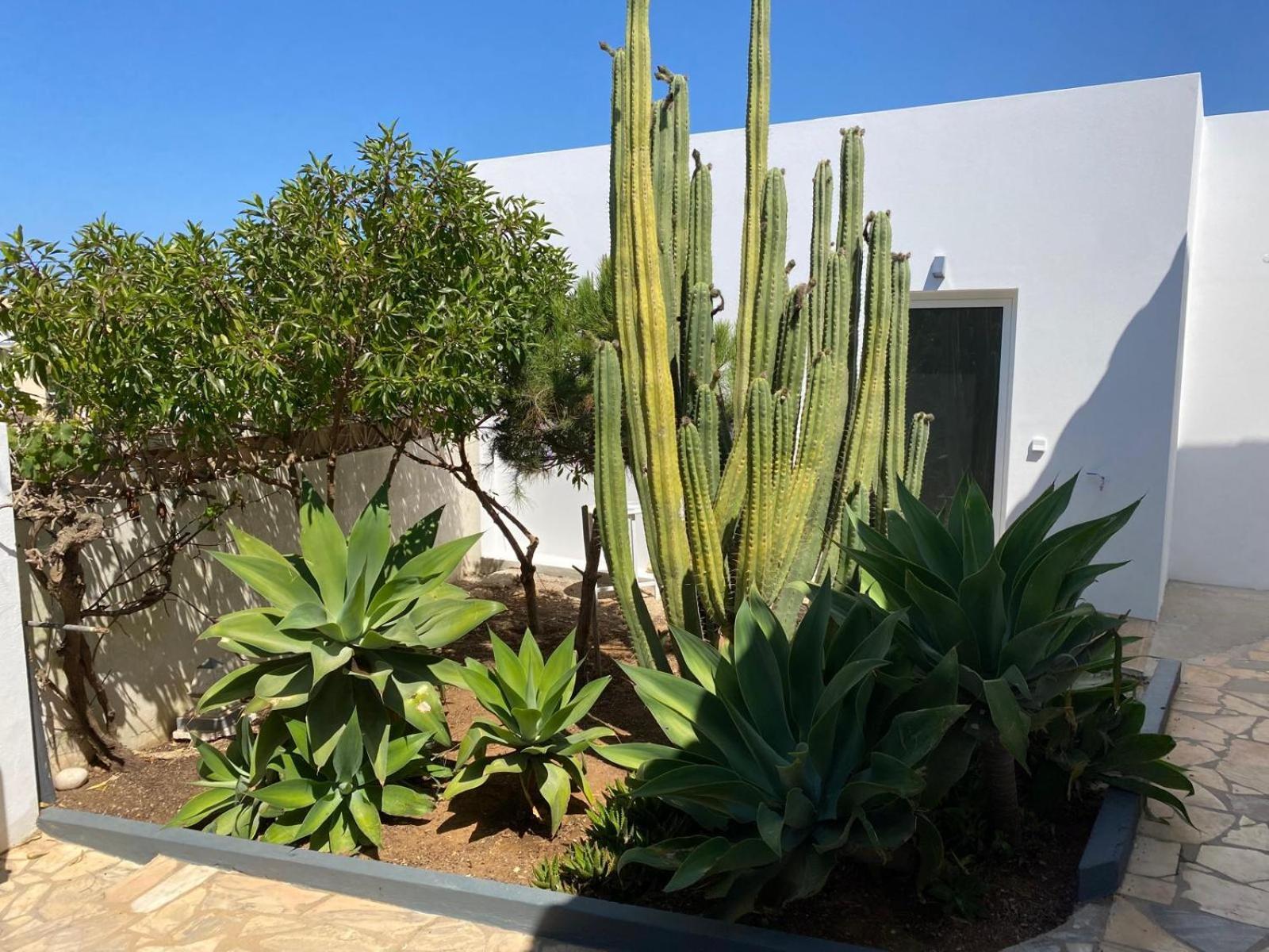 Casa La Isla Apartment Sagres Luaran gambar